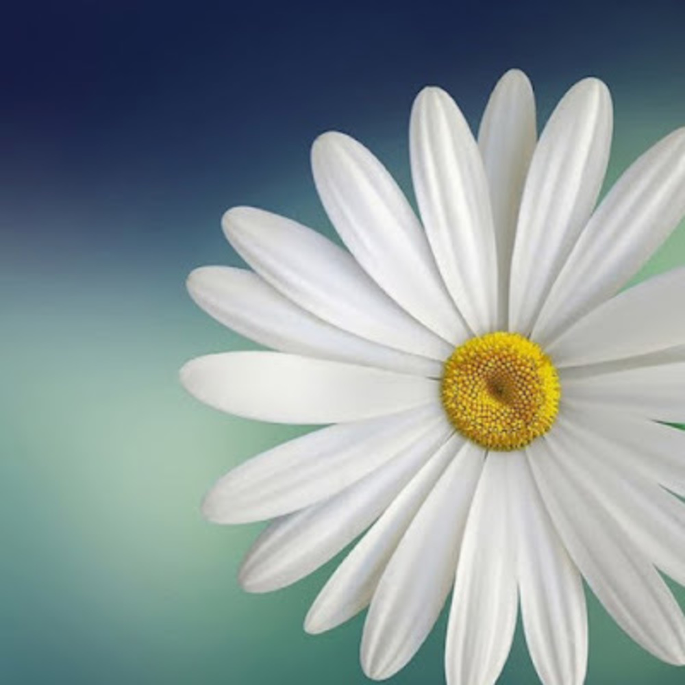 Meet your Posher, Santhana